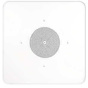 SPECO G86TG2X2 2'x2' G86 Ceiling Tile Speaker, Stock# G86TG2X2