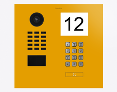 Doorbird D2101IKH, IP VIDEO DOOR STATION, RAL 1004, stainless steel, powder-coated, semi-gloss, Part# 423883383