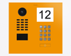 Doorbird D2101IKH, IP VIDEO DOOR STATION, RAL 1037, stainless steel, powder-coated, semi-gloss, Part# 423883413