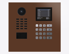 Doorbird D21DKH, IP VIDEO DOOR STATION, RAL 8011, stainless steel, powder-coated, semi-gloss, Part# 423888890