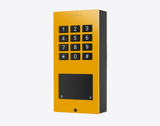 Doorbird A1121-S, SURFACE-MOUNT IP ACCESS CONTROL DEVICE, RAL 1004, stainless steel, powder-coated, semi-gloss, Part# 423893191