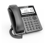 ReadyNet FlyingVoice P22G Wide-screen Business IP Phone, Part# P22G