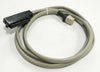 Future Bus - to - AMP Adapter Cable (15 ft.)
