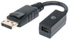 Manhattan DisplayPort to Mini DisplayPort Adapter, Part# 353403