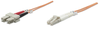 Intellinet Fiber Optic Patch Cable, Duplex, Multimode 30 m (100 ft.), Orange, Part# 751384