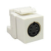 ICC MODULE, S-VIDEO IDC, WHITE Stock# IC107SVIWH