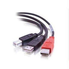 28108 - C2g 6ft Usb 2.0 One B Male To Two A Male Y-cable - C2g