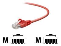 A3L791B14-RED-S - Belkin International Inc Cat Cbl Rj45m/rj45m 14 Red - Belkin International Inc