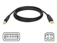 U022-006 - Tripp Lite 6ft Usb 2.0 Hi-speed A/b Device Cable Shielded Male / Male 6feet - Tripp Lite