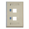 N042-001-WH - Tripp Lite 2-port White Keystone Faceplate For N238 Jacks - Tripp Lite