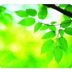 5903801 - Fellowes, Inc. Recycled Optical Mousepad - Leaves-taa - Fellowes, Inc.