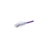 10170 - Unc Group Llc Unc Group 1 Foot Cat6 Snagless Clearfit Patch Cable Purple -  Cat6 Patch Cable C - Unc Group Llc