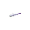 10178 - Unc Group Llc Unc Group 9 Foot Cat6 Snagless Clearfit Patch Cable Purple -  Cat6 Patch Cable C - Unc Group Llc