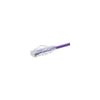 Unc Group Llc Unc Group 12 Foot Cat6 Snagless Clearfit Patch Cable Purple -  Cat6 Patch Cable