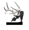 Antler Shed Mount