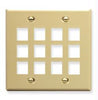 Ic107f12iv - 12port Face - Ivory