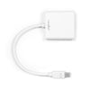 Rocstor Mini DispalyPort to DVI Adapter - 1 x Mini DisplayPort Male - 1 x DVI Female Video - White, Part# Y10A103-W1