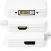 Rocstor Mini DispalyPort to DVI / HDMI / DP Adapter, Part# YMDHDD-WH