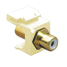 ICC MODULE, RCA FEMALE, WHITE INSERT, IVORY Stock# IC107B6GIV